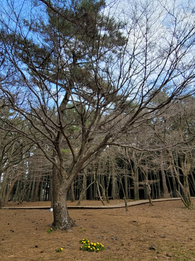 자연2.jpg